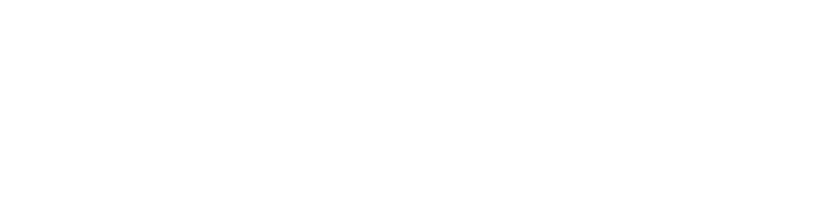 The Stranger